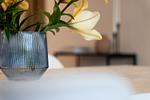 Dekoratives Detail - Appartement 3 - Top-Hundeurlaub