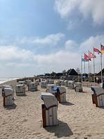 Strand - Ferienwohung "Möwennest mit Meerblick" Dahme - Top-Hundeurlaub