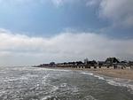 Strand - Ferienwohung "Möwennest mit Meerblick" Dahme - Top-Hundeurlaub