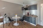 Ferienwohnung Müritznest Klink - Küchenzeile mit Kochfeld, Kaffeemaschine und Kühlschrank - Müritznest - Top-Hundeurlaub
