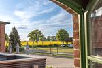 Ferienwohnung Müritznest Klink - Ausblick zum Rapsfeld - Müritznest - Top-Hundeurlaub