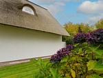 Ferienhaus Deich Huus - Top-Hundeurlaub