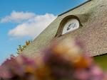 Ferienhaus Deich Huus - Top-Hundeurlaub