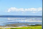 Meerblick - SHE6 - Top-Hundeurlaub