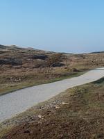 Eingezäuntes Ferienhaus vom Typ Strandperle mit Dünenblick  - Top-Hundeurlaub