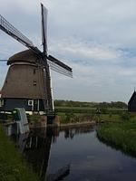 Eingezäuntes Ferienhaus vom Typ Strandperle mit Dünenblick  - Top-Hundeurlaub