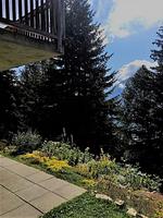 Bettmerlodge EG - Top-Hundeurlaub