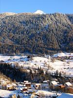 Stachelbeere OG - Top-Hundeurlaub