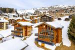 Aarninkhof,- 7.Zimmer Chalet mit Sauna - Top-Hundeurlaub