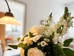Haus Friesland - Wohnung 5 - Top-Hundeurlaub