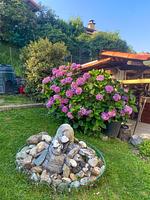 Garten - Alpina - Top-Hundeurlaub