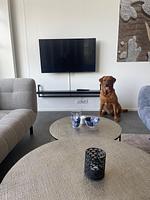 Chalet Inselperle mit Zaun Nr. 84 - Top-Hundeurlaub