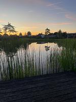 Chalet Inselperle mit Zaun Nr. 84 - Top-Hundeurlaub