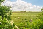 Linas Huis - Top-Hundeurlaub