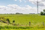 Linas Huis - Top-Hundeurlaub