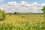 Linas Huis - Top-Hundeurlaub