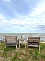 BeachHouse Sinne Nr. 514 - Top-Hundeurlaub