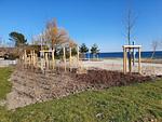 Strand - Haus Sanddorn - Whg.13 - Top-Hundeurlaub