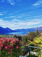 Balkon - Eckwohnung C06 - Top-Hundeurlaub