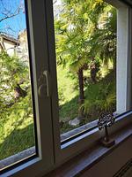 Gartenblick - Eckwohnung C06 - Top-Hundeurlaub