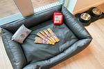 Hundebett - SeeZeit Tossens - Top-Hundeurlaub
