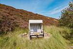 Garten - Hummelflug - Top-Hundeurlaub