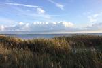 Landschaft - FeWo07:strandnah,Sauna,Schwimmbad - Top-Hundeurlaub
