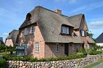 LITZKOW 15503 - Top-Hundeurlaub