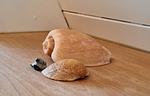 Dekoratives Detail - Ferienhaus Traumstrand - Top-Hundeurlaub