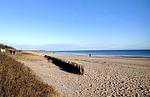 Strand - Ferienhaus Traumstrand - Top-Hundeurlaub