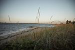 Villa Gold III - Top-Hundeurlaub
