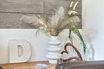 Altstadt Residenz Wohnung 3 - Top-Hundeurlaub