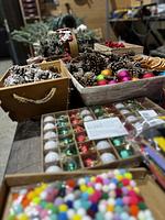 Einstimmung auf den Advent - Top-Hundeurlaub