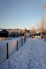Landschaft - Einstimmung auf den Advent - Top-Hundeurlaub
