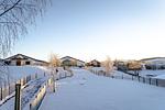 Landschaft - Einstimmung auf den Advent - Top-Hundeurlaub