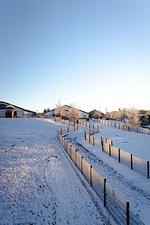 Landschaft - Einstimmung auf den Advent - Top-Hundeurlaub