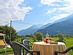 Terrasse - Mimosa - Top-Hundeurlaub