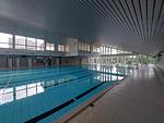 Pool - B03-1 - Top-Hundeurlaub