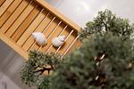 Dekoratives Detail - B03-1 - Top-Hundeurlaub
