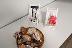 Dekoratives Detail - Auszeit - Top-Hundeurlaub