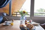 FeWo 36 - Top-Hundeurlaub