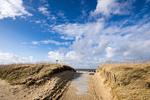FeWo 4 - Top-Hundeurlaub