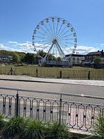Blick auf Sehenswürdigkeit - V Gartenpalais Wohnung 1 - Top-Hundeurlaub