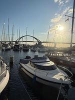 Hausboot Baltic Loft - Top-Hundeurlaub