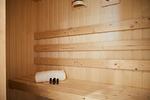 Sauna - Apartment 1 - Top-Hundeurlaub