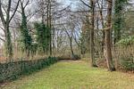 Mien Lütten - Top-Hundeurlaub