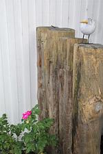 Dekoratives Detail - Rosenberg 24 Haus Deichrose - Top-Hundeurlaub