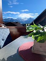 Terrasse - 3-Raum-Wohnung Hesse - Top-Hundeurlaub