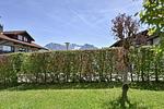 3-Raum-Wohnung Allgäutraum - Top-Hundeurlaub