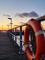 Strand - Ferienwohnung Deich und Meer in Stein - Top-Hundeurlaub